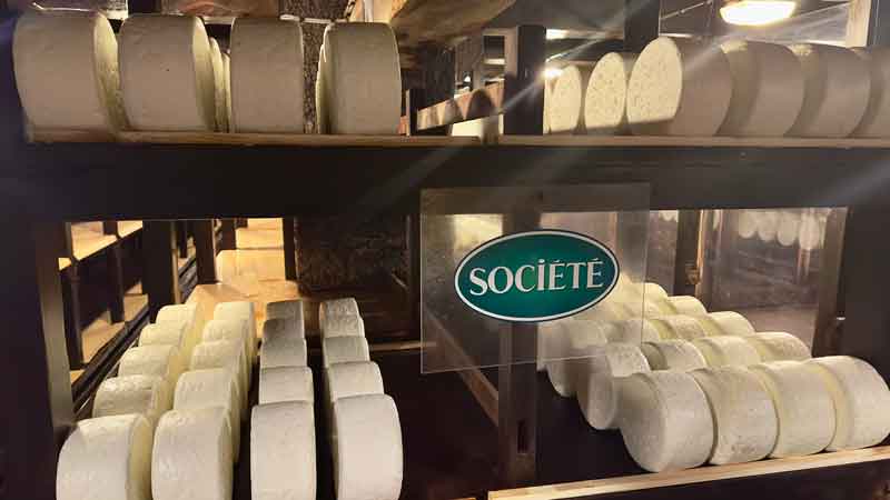 Replica Roquefort Cheese on Oak Shelving