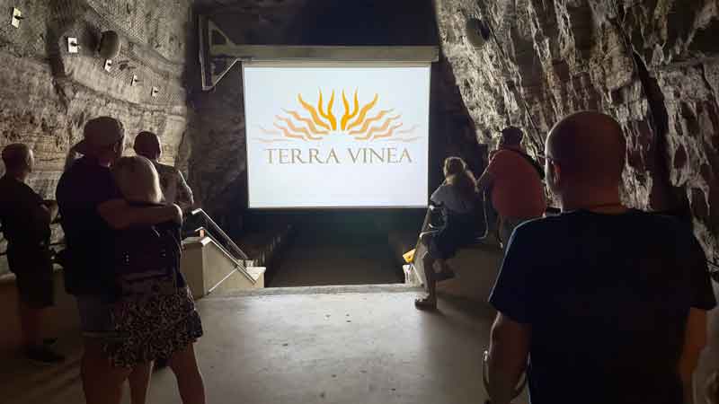 Inside the Cathedral Cellar at Terra Vinea