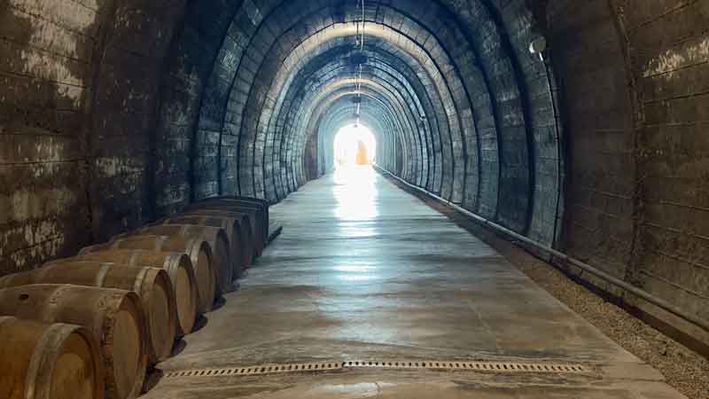Terra Vinea Exit
