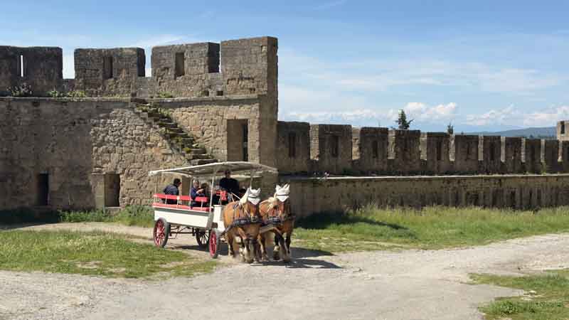Horse-drawn Carriage Rides at Carcassonne