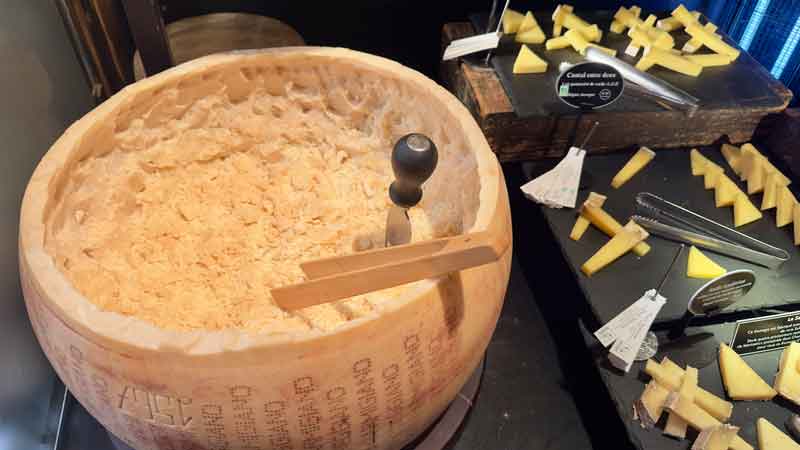 Parmesan Cheese